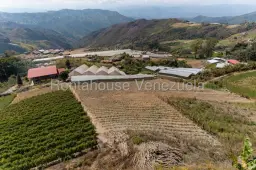 View 3