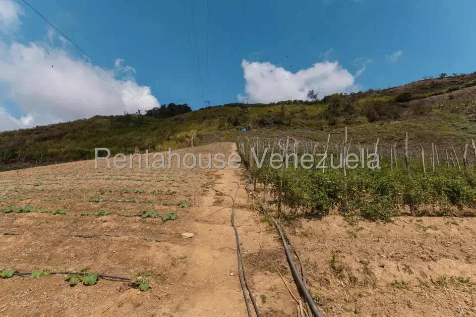 Terreno (Finca) en Venta en Municipio Guaicaipuro, Miranda - 31