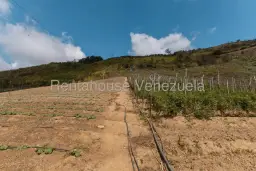 View 31