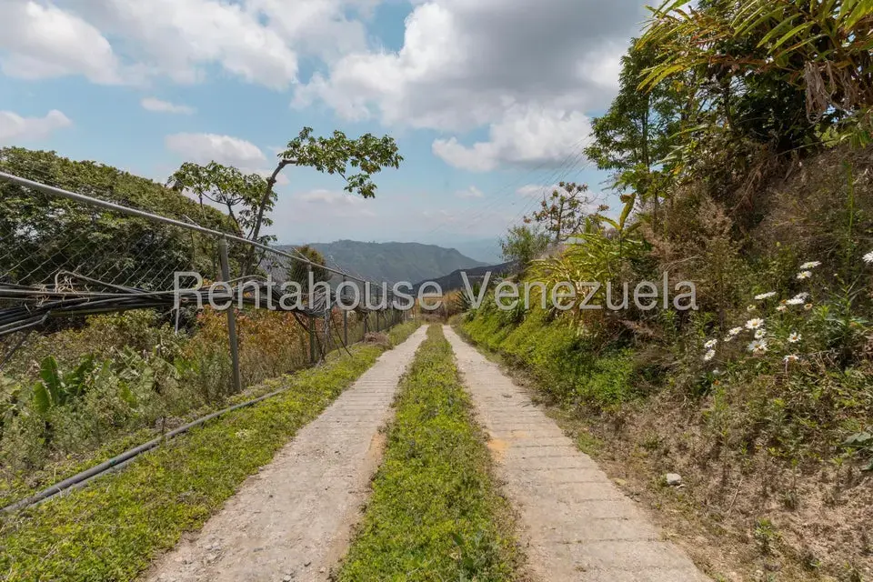 Terreno (Finca) en Venta en Municipio Guaicaipuro, Miranda - 36