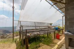 View 39