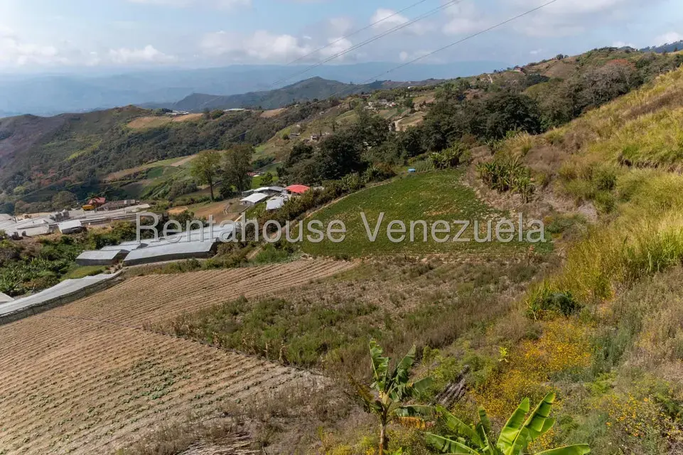 Terreno (Finca) en Venta en Municipio Guaicaipuro, Miranda - 4