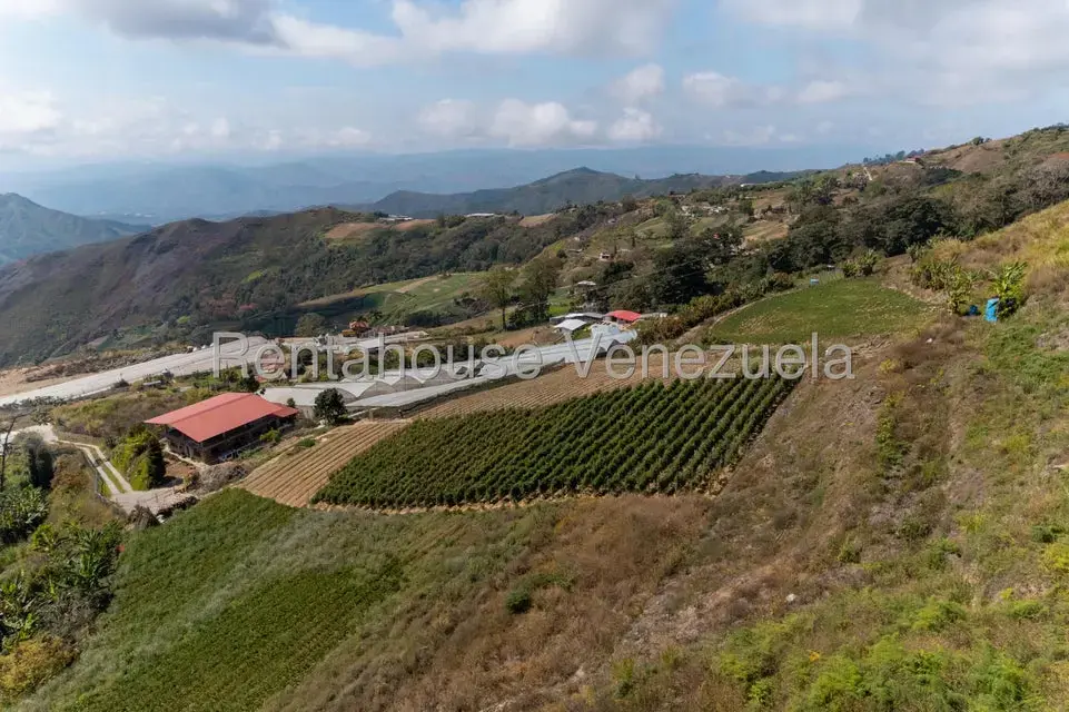 Terreno (Finca) en Venta en Municipio Guaicaipuro, Miranda - 5