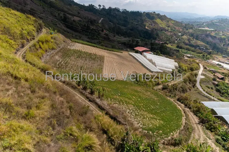 Terreno (Finca) en Venta en Municipio Guaicaipuro, Miranda - 9