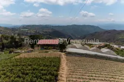 View 10