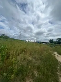Vista 5