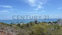 View 4
