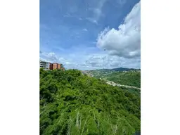 Vista 5