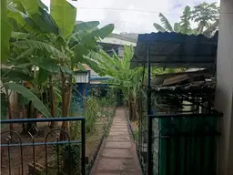 Vista 16