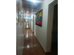 Vista 25