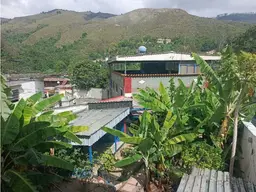 Vista 33