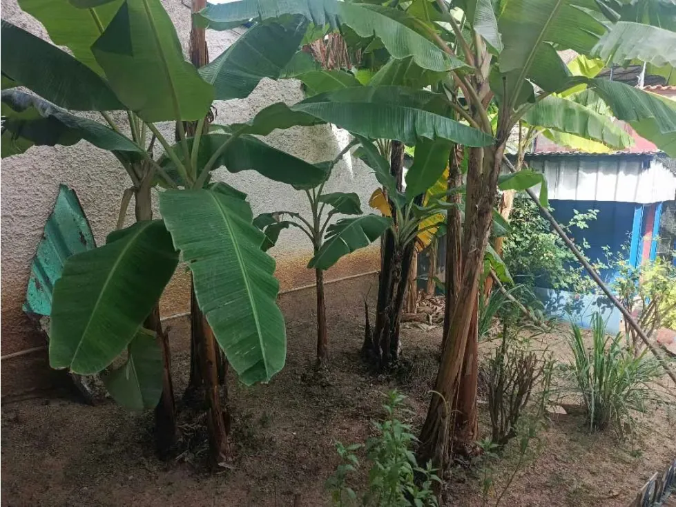 se vende casa multifamiliar 170m2 Macarao 2937 - 5