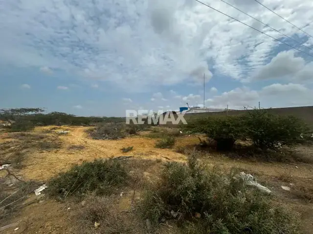 Terreno