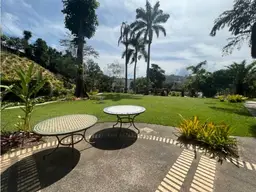 Vista 5