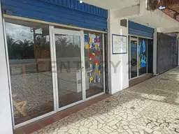 Vista 11