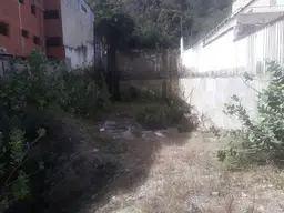 View 14