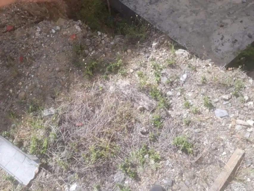 Terreno (Comercial) en Venta en Macuto, Vargas - 3