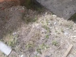 View 3