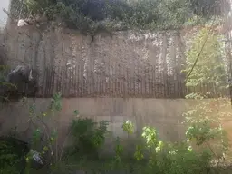 View 7