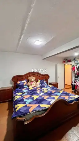 Vista 6