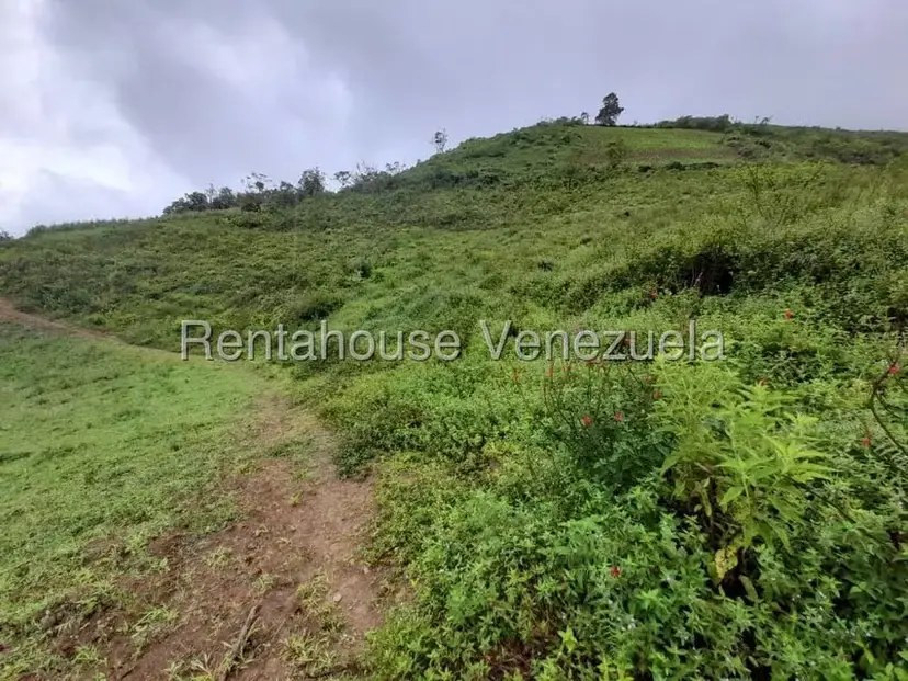 Terreno (Comercial) en Venta en El Carrizal, Trujillo
