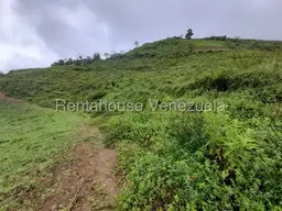 View 1