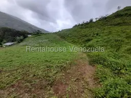 View 11