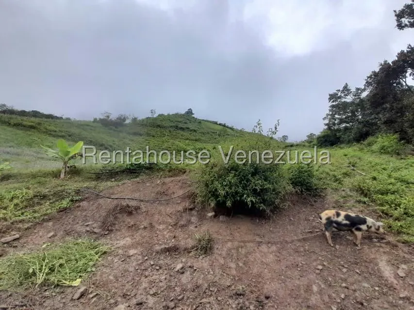 Terreno (Comercial) en Venta en El Carrizal, Trujillo - 2