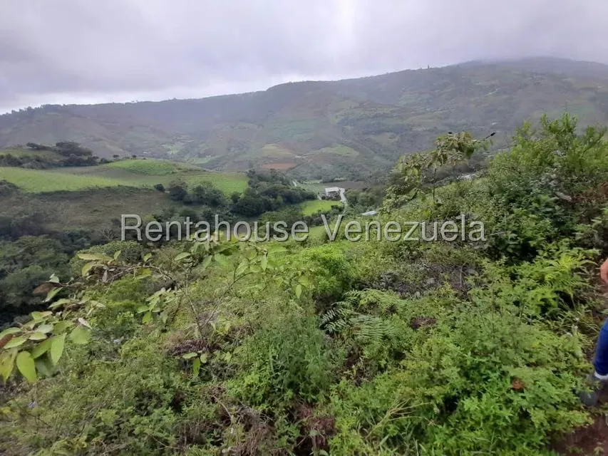 Terreno (Comercial) en Venta en El Carrizal, Trujillo - 3
