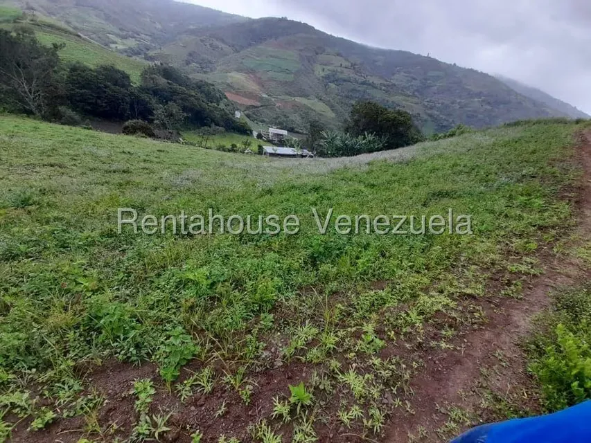 Terreno (Comercial) en Venta en El Carrizal, Trujillo - 5