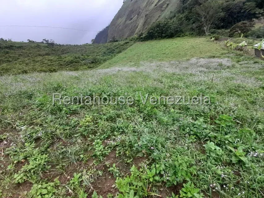 Terreno (Comercial) en Venta en El Carrizal, Trujillo - 6