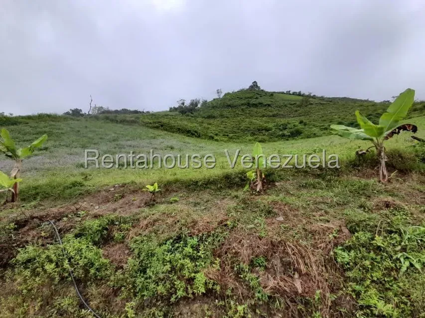 Terreno (Comercial) en Venta en El Carrizal, Trujillo - 9