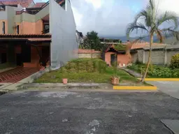 Vista 4