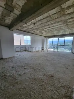 Vista 1