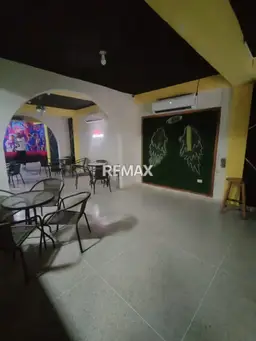 Vista 4