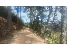 Vista 11