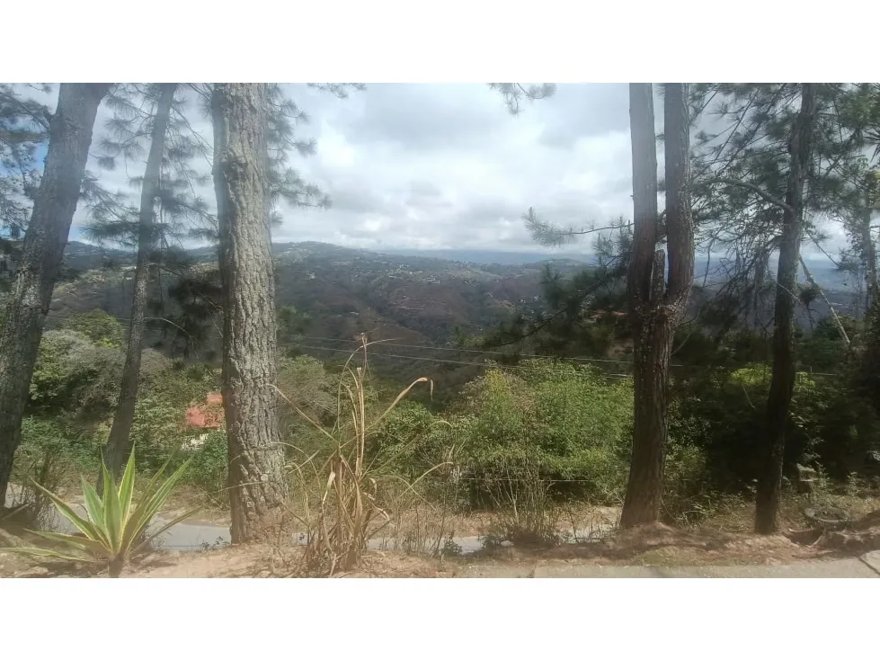 Se vende terreno 2.720m2 Sabaneta-El Hatillo 9848 - 12