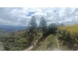 Vista 4