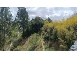 Vista 5