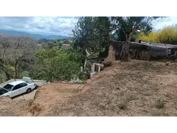 Vista 6