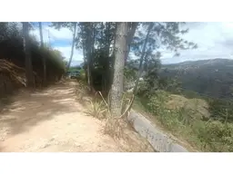 Vista 10
