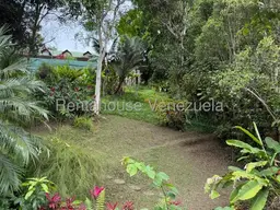 Vista 69
