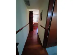 Vista 19