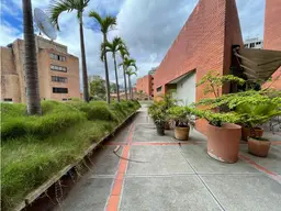 Vista 4