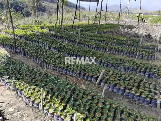 VENTA FINCA en Lobatera