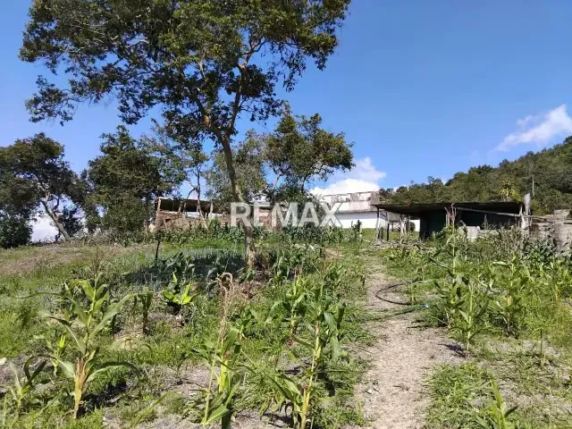 VENTA FINCA en Lobatera - 11
