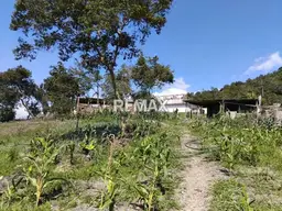 Vista 11