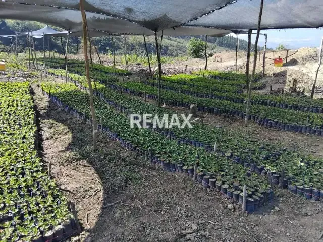 VENTA FINCA en Lobatera - 15
