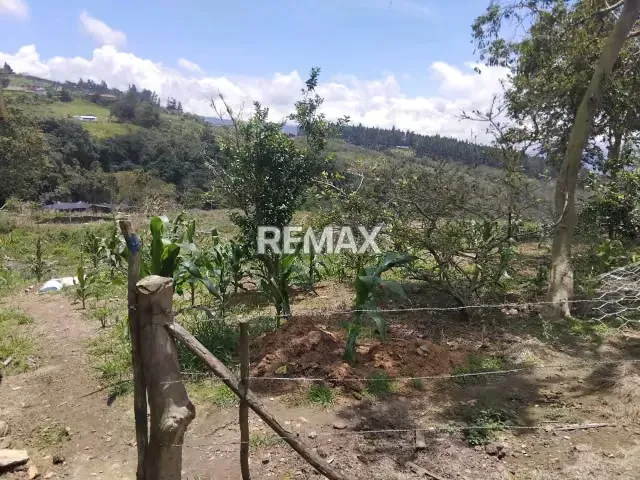 VENTA FINCA en Lobatera - 2