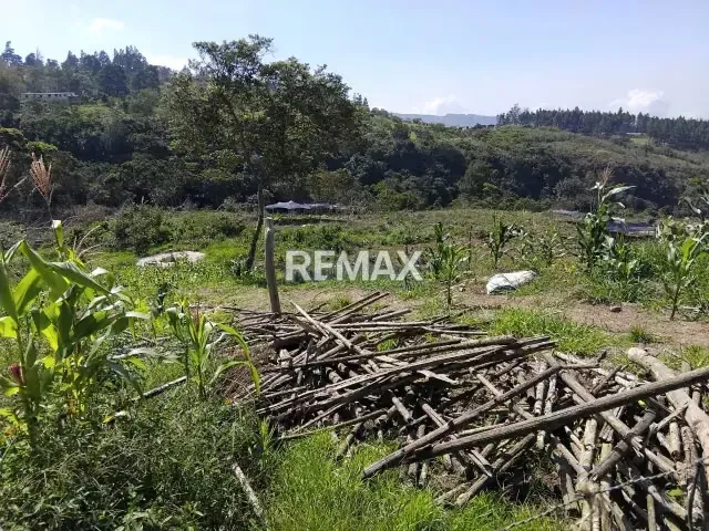 VENTA FINCA en Lobatera - 8